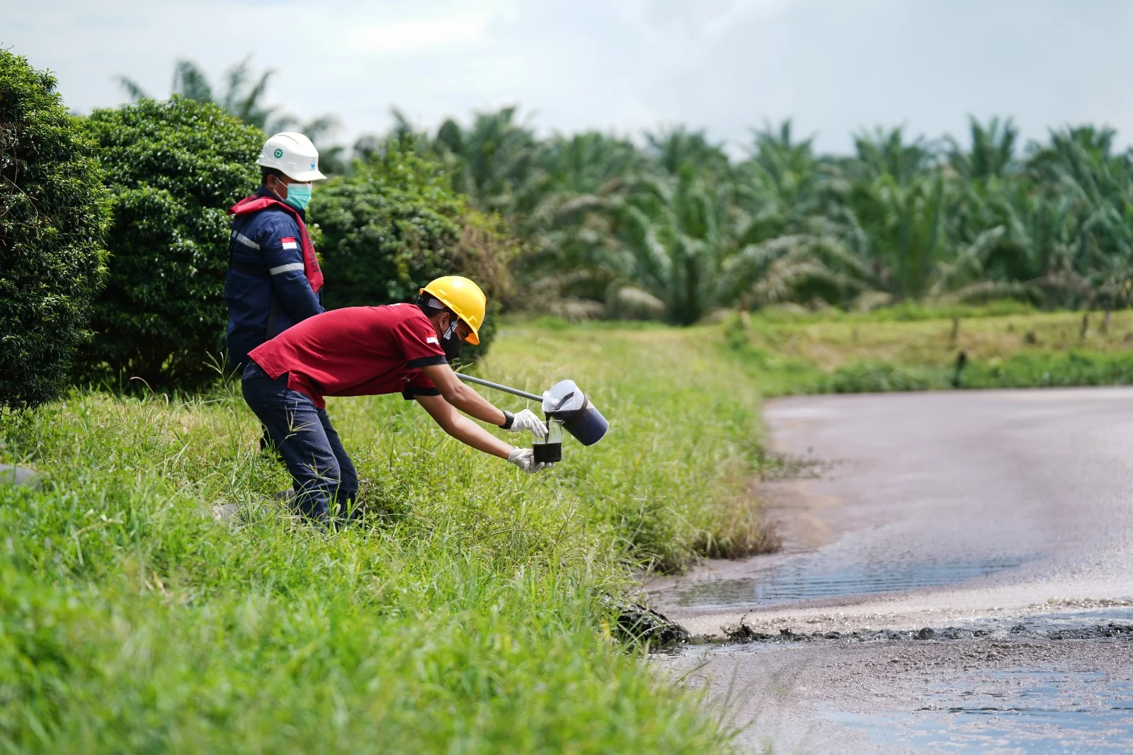 Ehp Sustainability Biodiversity Header