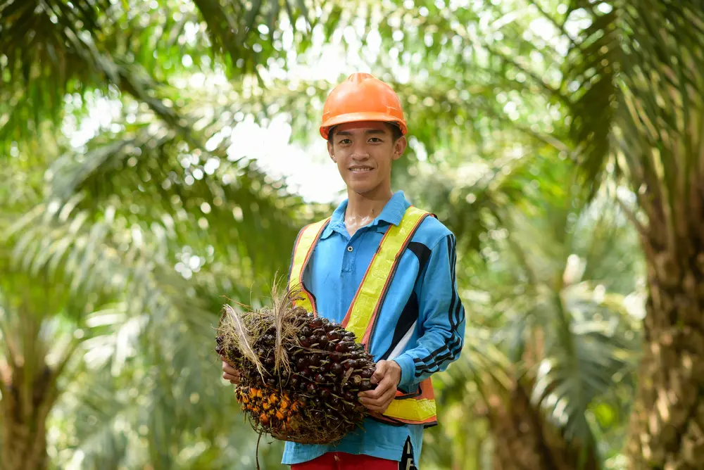 Human rights and labor