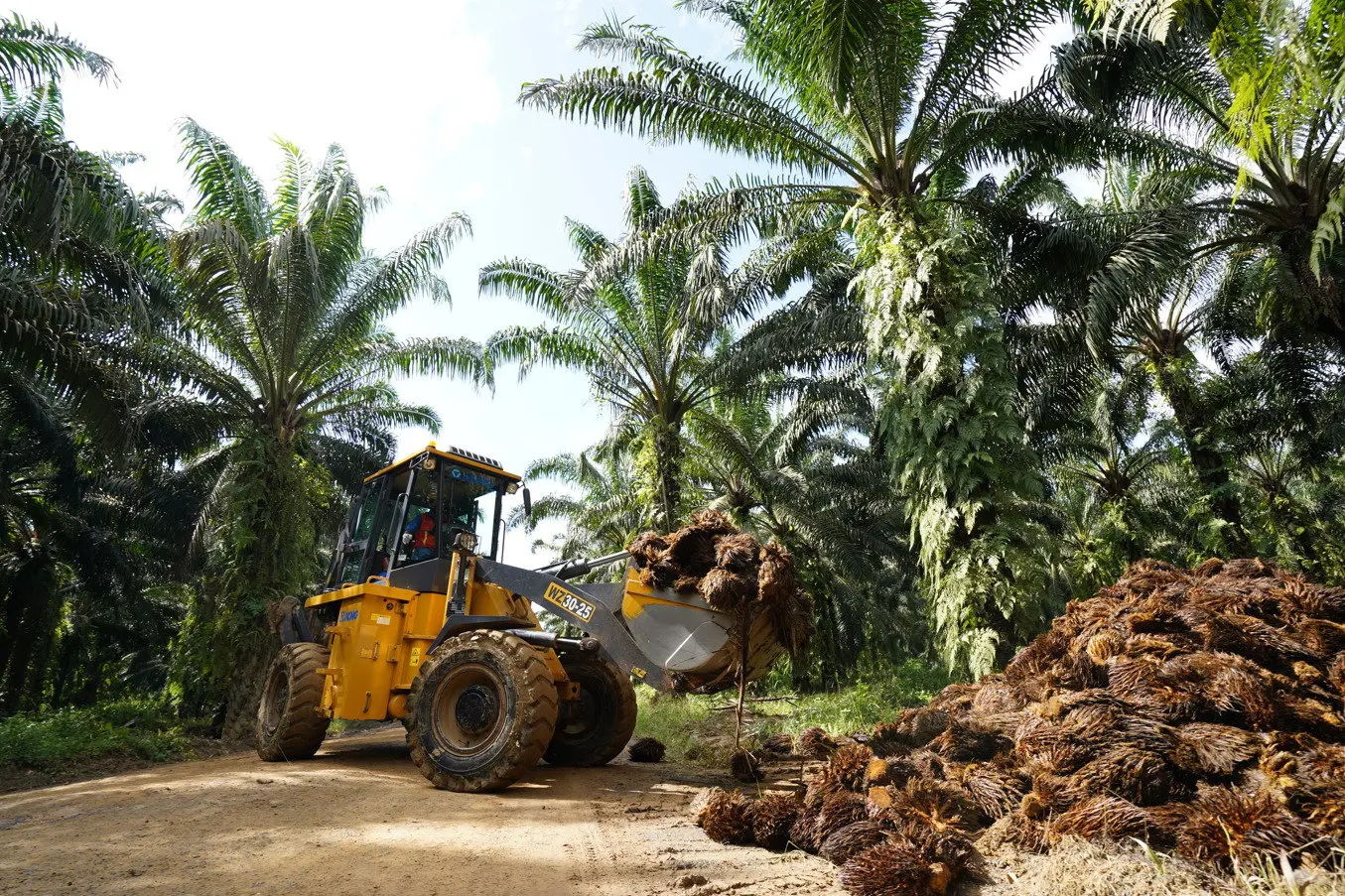 Ehp panen kelapa sawit traktor
