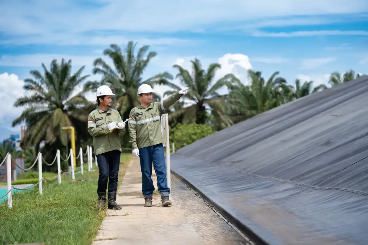 Whatsapp image 2024 11 22 at 06.08.38 2be972b1