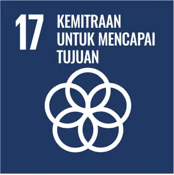 Sdg 17